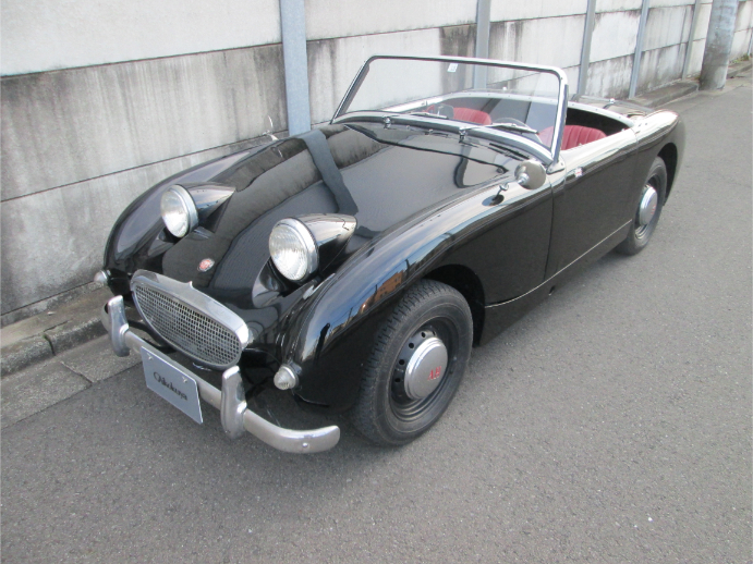 クリックで画像を表示