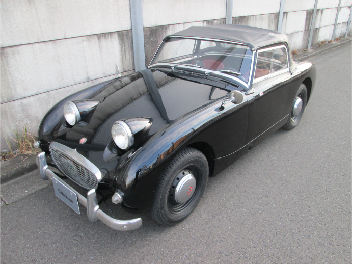 クリックで画像を表示